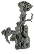 biOrb Lotus seedpod on Root L - Aquarium Decoration