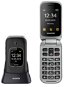 Mobilný telefón Aligator V650 čierno-strieborný - Mobilní telefon