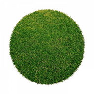 Betap  Umělá tráva Botanic kruh 300x300 (průměr) kruh - Grass Carpet