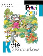 Kotě z Kocourkova - Kniha
