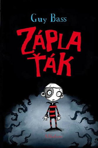 Záplaťák - Kniha - Main image