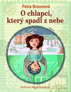  The boy who fell from the sky  - Book