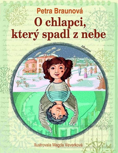  The boy who fell from the sky  - Book - Main image
