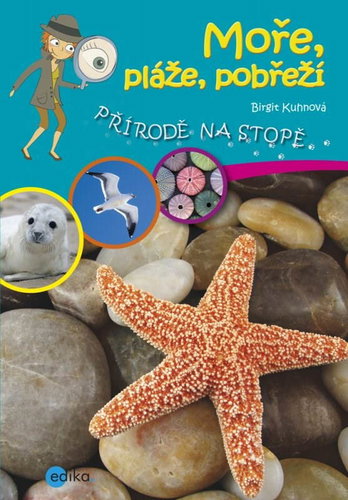 Moře, pláže, pobřeží - Kniha - Main image