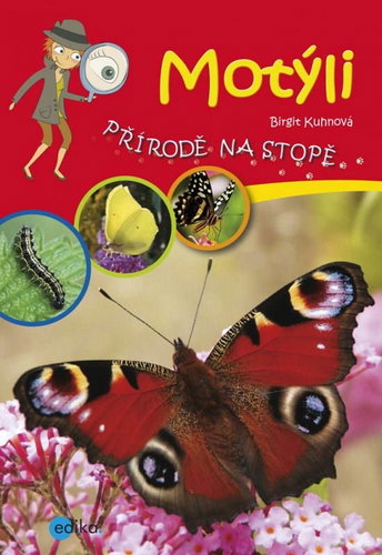 Motýli - Kniha - Hlavný obrázok