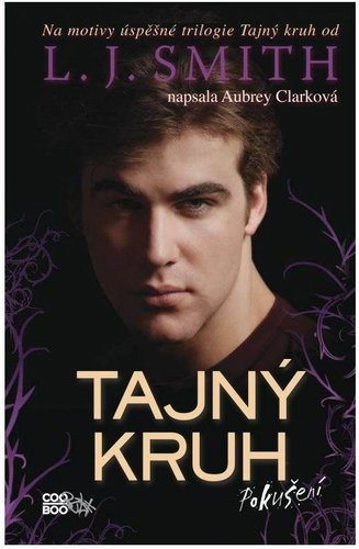  The Secret Circle - Temptation  - Book - Main image