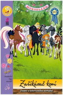 Horseland 10 Zaříkávač koní - Kniha