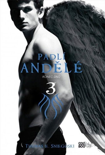  Fallen Angels 3 - End of Days  - Book - Main image