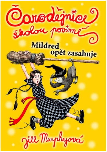 Čarodějnice školou povinné 2 - Kniha - Main image