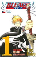  Bleach 1: The Death and the Strawberry  - Book