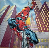  Spider-Man: Causes and consequences  - Book