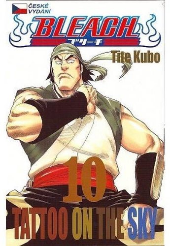 Bleach 10 - Kniha - Main image