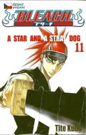 Bleach 11 - Kniha