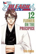 Bleach 12 - Kniha