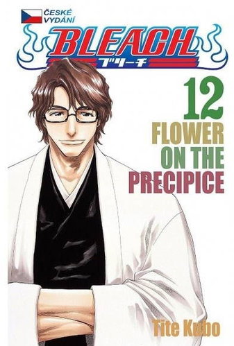 Bleach 12 - Kniha - Main image