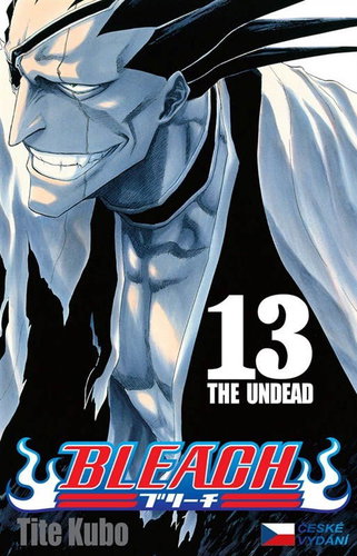 Bleach 13 - Kniha - Main image