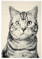 Alfa Carpets  Kusový koberec Cat grey 190 × 280 - Koberec