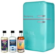 Retro Gin Fridge 8×0,05l 46% GB - Gin