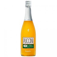 Apéritif Canella Puccini Ciaculli Sicilian Mandarin Cocktail 0,75l 5% - Aperitiv