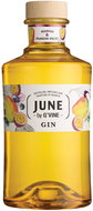 June Gin Mangue Passion Generique 0,7 l  37,5 % vol. - Gin