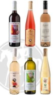 Carton of young wines 6x 0,75l set of wines - Wine