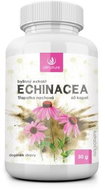 Allnature Echinacea Herbal Extract 60 Capsules - Echinacea