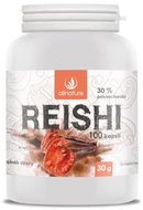 Allnature Reishi 100 Capsules - Reishi