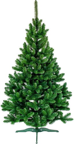 Alpina jedle, výška 150 cm - Vánoční stromek - Main image