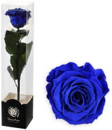 ALTX Preserved Rose on a 30cm Stem, Blue - Artificial Flower