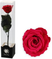 ALTX Preserved Rose on a 30cm Stem Red - Artificial Flower