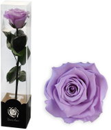 ALTX Stabilizovaná růže na stonku 30 cm lila - Artificial Flower
