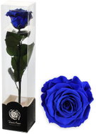 ALTX Stabilizovaná růže na stonku 60 cm modrá - Artificial Flower