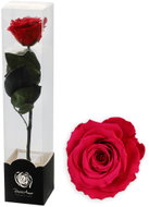 ALTX Stabilizovaná růže na stonku 60 cm červená - Artificial Flower