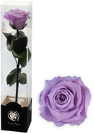 ALTX Stabilizovaná růže na stonku 60 cm lila - Artificial Flower