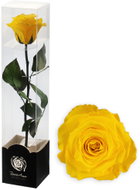 ALTX Stabilizovaná růže na stonku 60 cm žlutá - Artificial Flower