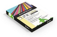 Alza Color A4 Pastell-Gelb 80g 100 Blatt - Kanzleipapier