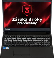 CLEVO NJ50MU (Core i5-1135G7, 15.6", WiFi) - Laptop