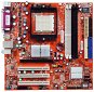 FOXCONN 6100K8MA-RS, nForce410/6100 MCP, DDR400, SATA RAID, VGA + PCI-E x16, USB2.0, LAN, sc939 - Motherboard