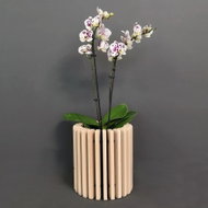 AMADEA Wooden Cover for a Flower Pot made of Solid Wood, 20 x 22cm - Protector