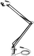 AMS ASM 30 - Microphone Boom Arm