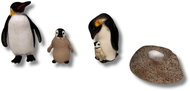 Animal Life Penguin Life Cycle - Figure
