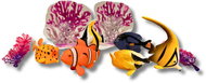 Animal Life Coral Reef - Figure