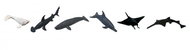 Animal Life Animals of the seas and oceans - Figure