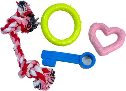ANNAM Set of rubber and knitted toys 4 pcs - Dog Toy - Main image