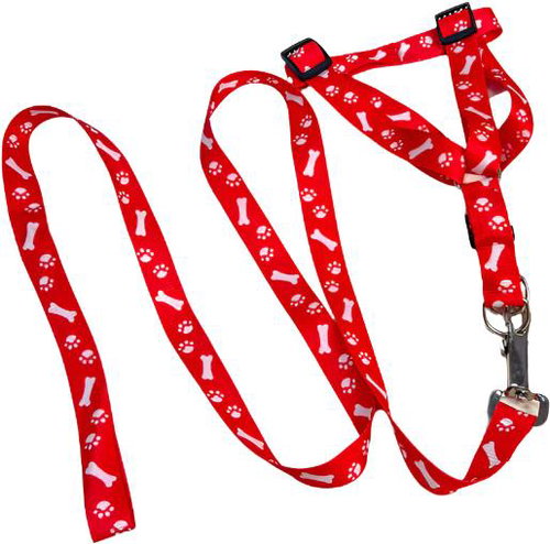 ANNAM Leash and harness set with paws, leash 120 cm, harness 30-50 cm, red - Leash - Main image