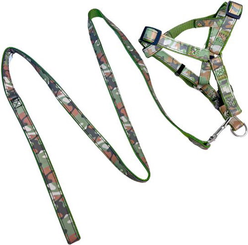 ANNAM Small reflective leash with harness, leash 150 cm, harness circumference 30-40 cm, green - Leash - Main image
