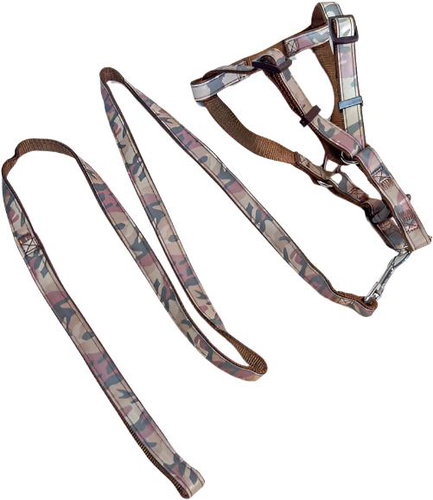 ANNAM reflective leash and harness set, leash 115 cm, harness circumference 35-50 cm, brown - Leash - Main image