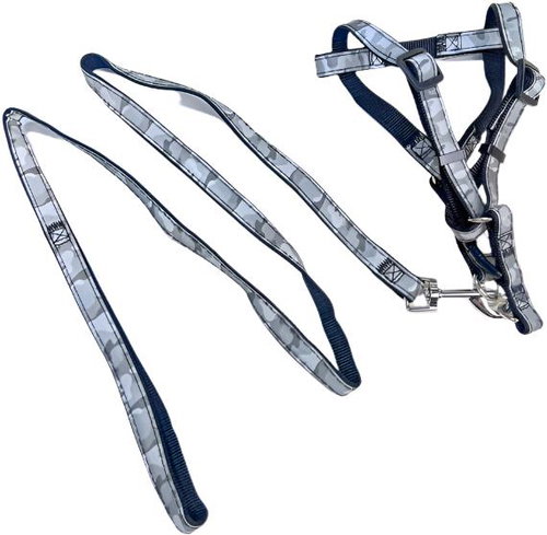 ANNAM reflective leash and harness set, leash 115 cm, harness circumference 35-50 cm, grey - Leash - Main image