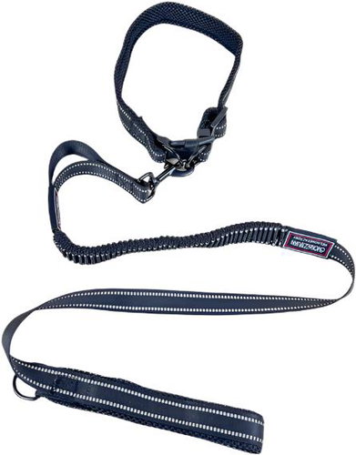 ANNAM Flexible leash with collar, leash 115 cm, collar 35-55 cm, black - Leash - Main image