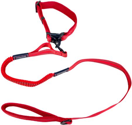 ANNAM Flexible leash with collar, leash 115 cm, collar 35-55 cm, red - Leash - Main image